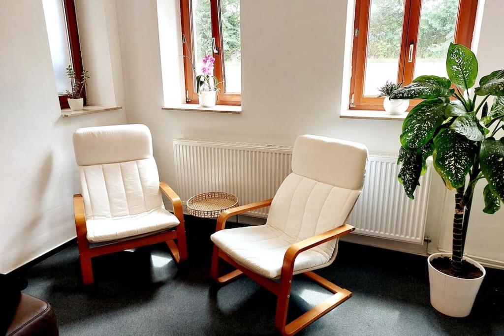 Zentrale Ferienwohnung - Direkt Am See Und Schloss Schwerin  Buitenkant foto