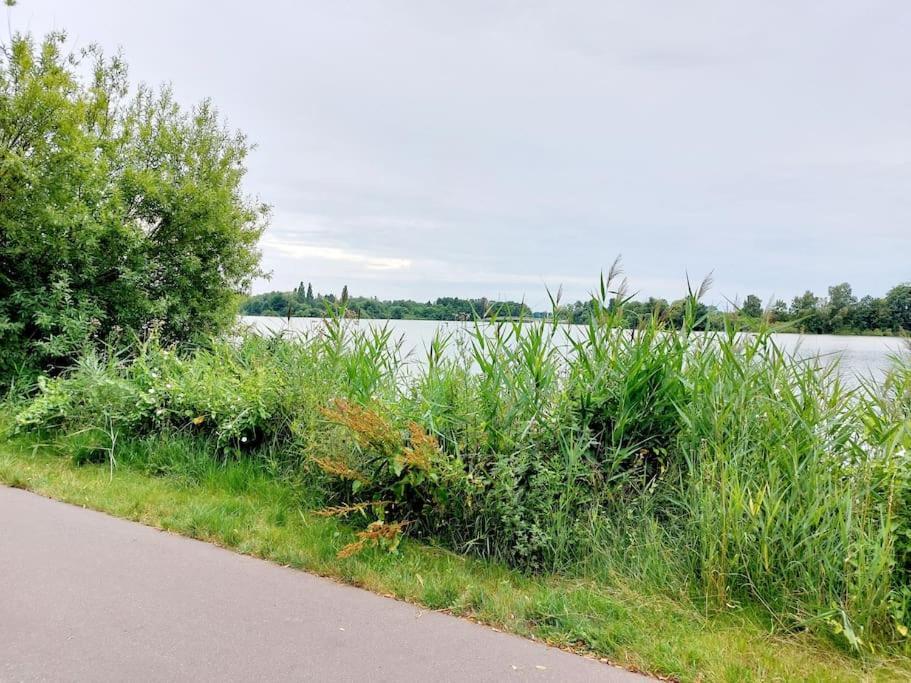 Zentrale Ferienwohnung - Direkt Am See Und Schloss Schwerin  Buitenkant foto
